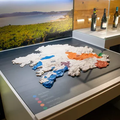 El vino en Galicia 